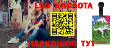 стафф Камышлов