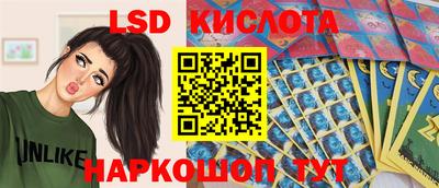 стафф Камышлов
