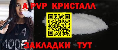 стафф Камышлов