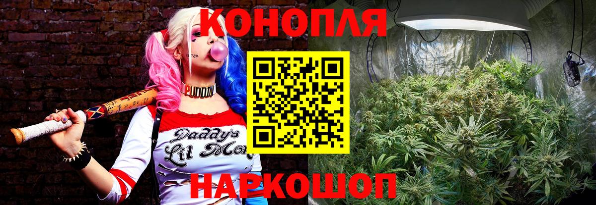 Бошки Шишки конопля Ликино-Дулёво